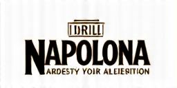 Napoleon Grills Logo.