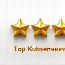 TrustPilot Top Kundenservice Award 2022 Emblem mit Sternen.